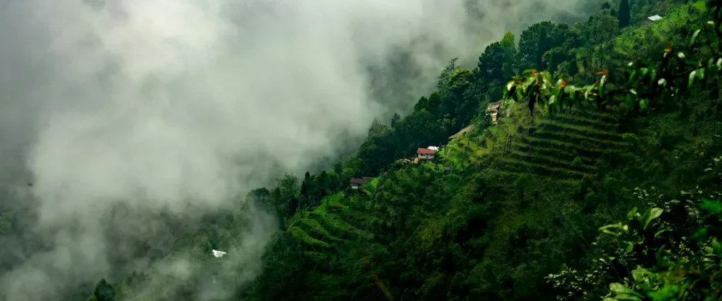 top-1o-places-to-visit-darjeeling