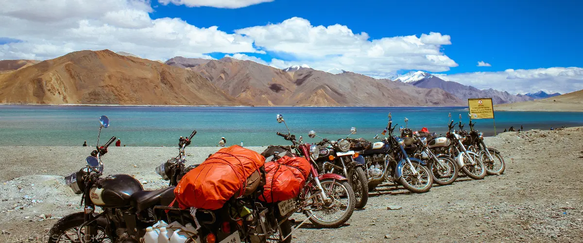 pangong tso in ladakh