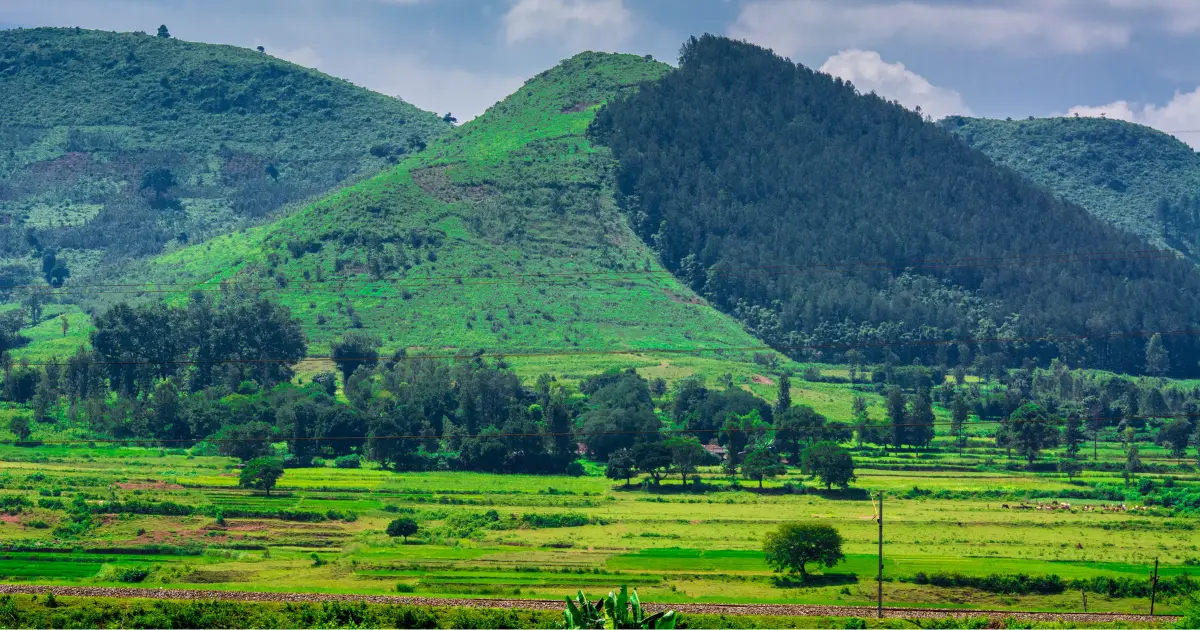 Araku Valley