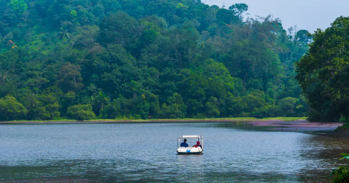 Pookode in lake in wayanad