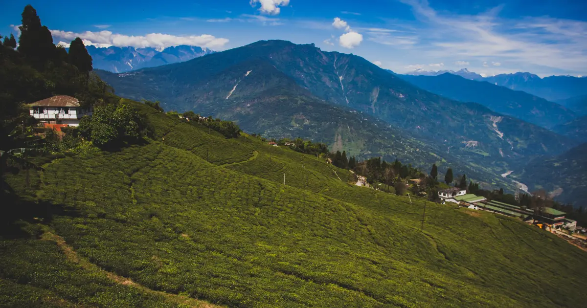 darjeeling-tour-package-from-kolkata