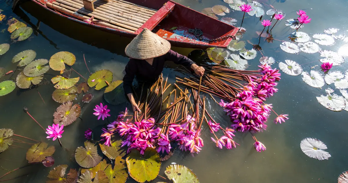 vietnam-package-price