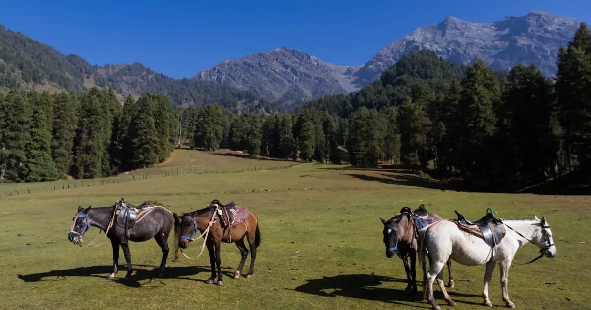 aru valley in kashmir