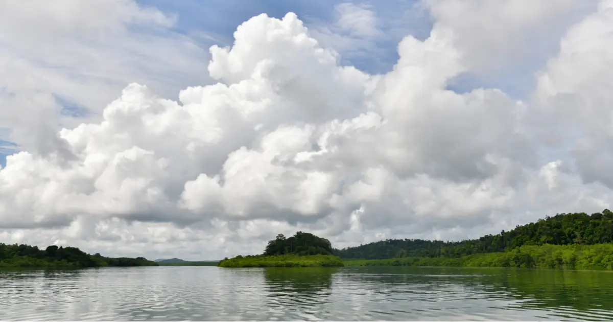 Baratang Island in Andaman Island