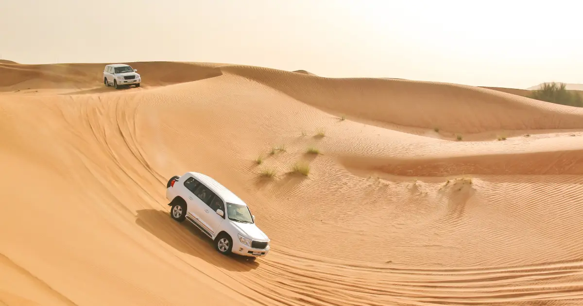 Dubai Desert Safari