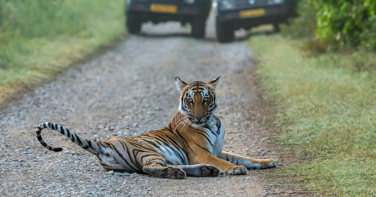 Jim corbett national park