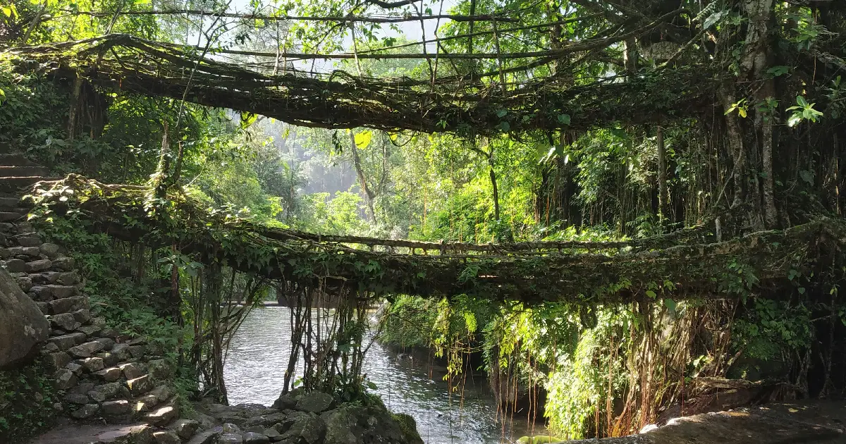 Meghalaya