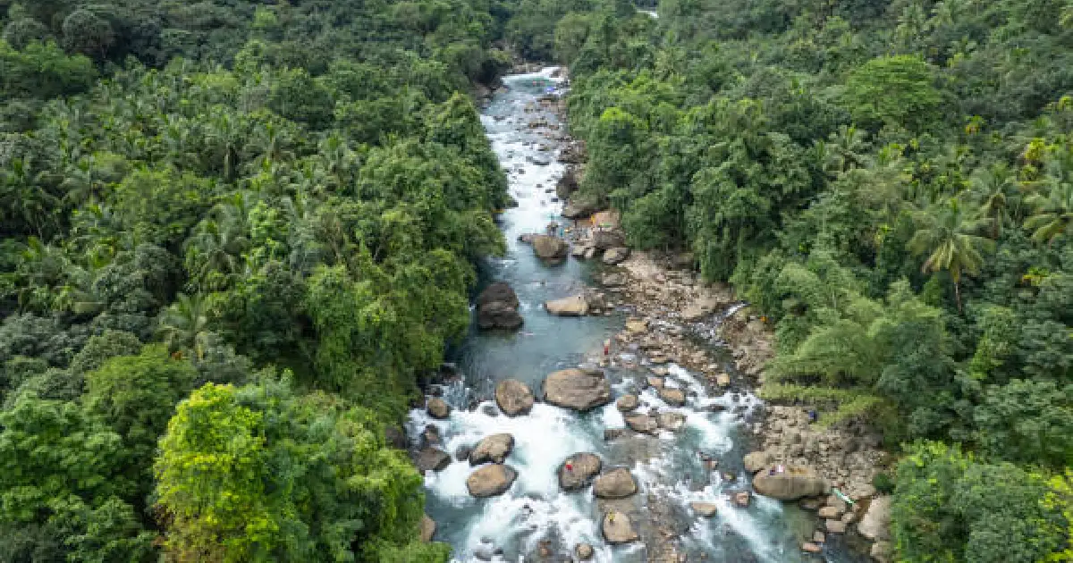 wayanad, kerala images