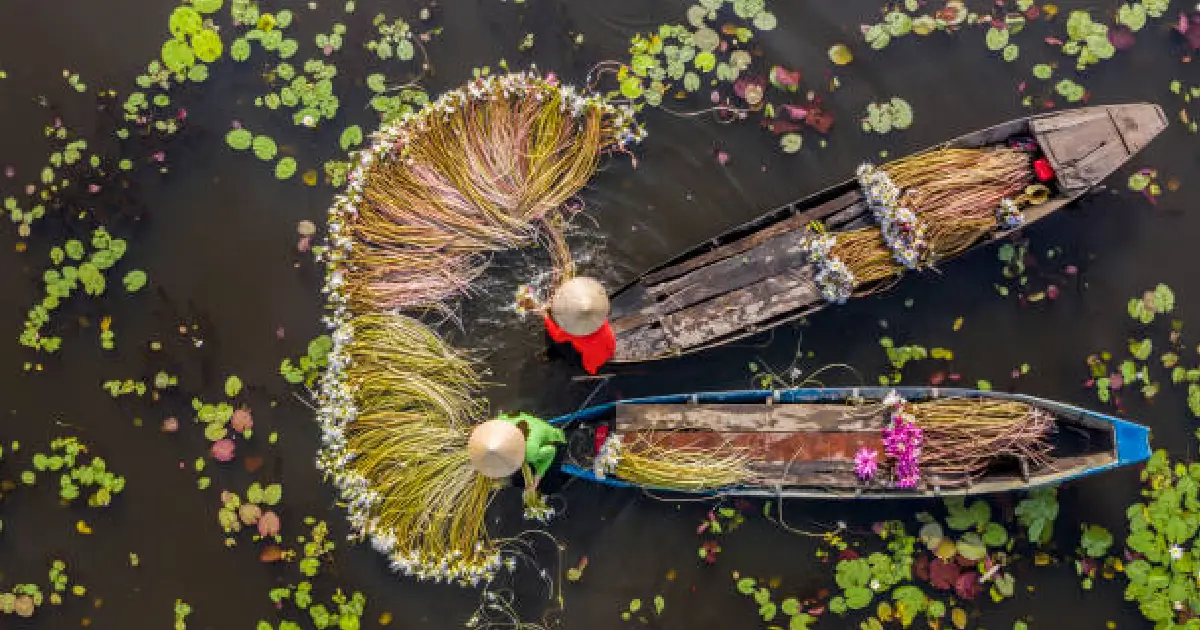 Best Places to Visit in Vietnam 35 Mekong Delta