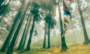 places to visit in north bengal