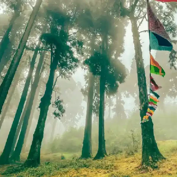 places to visit in north bengal