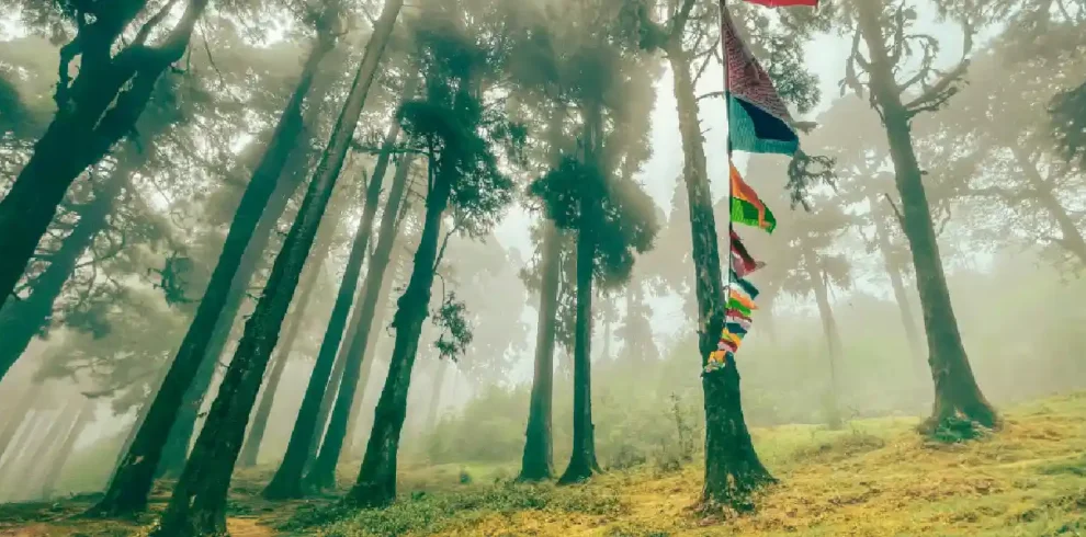 places to visit in north bengal